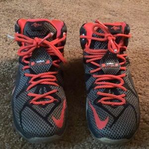 LeBron nike 12s court vision